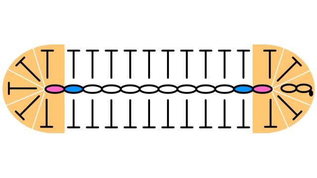 中長編みの楕円の編み図｜1段目